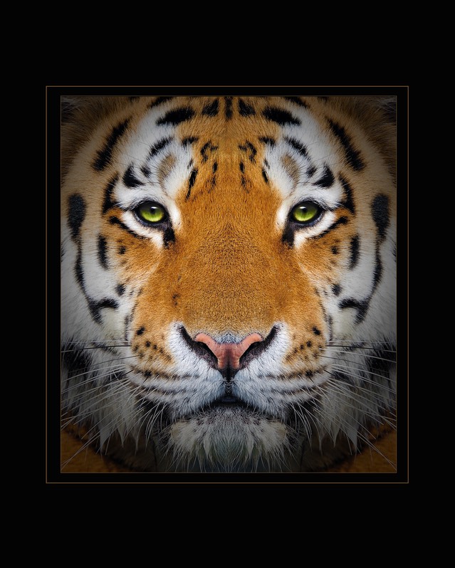 I See Food 80